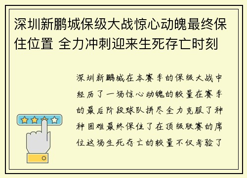深圳新鹏城保级大战惊心动魄最终保住位置 全力冲刺迎来生死存亡时刻